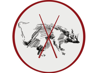 no rats or bats on the menu chinese govt