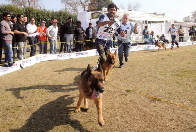 local bred anglique won the show by defeating many imported breeds in the open female category photo waseem nazir local bred anglique won the show by defeating many imported breeds in the open female category photo waseem nazir