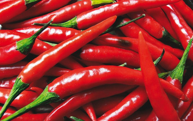 capsaicin in chilli peppers may induce browning of white adipose tissue and stimulate thermogenesis to counteract obesity photo publicity capsaicin in chilli peppers may induce browning of white adipose tissue and stimulate thermogenesis to counteract obesity photo publicity