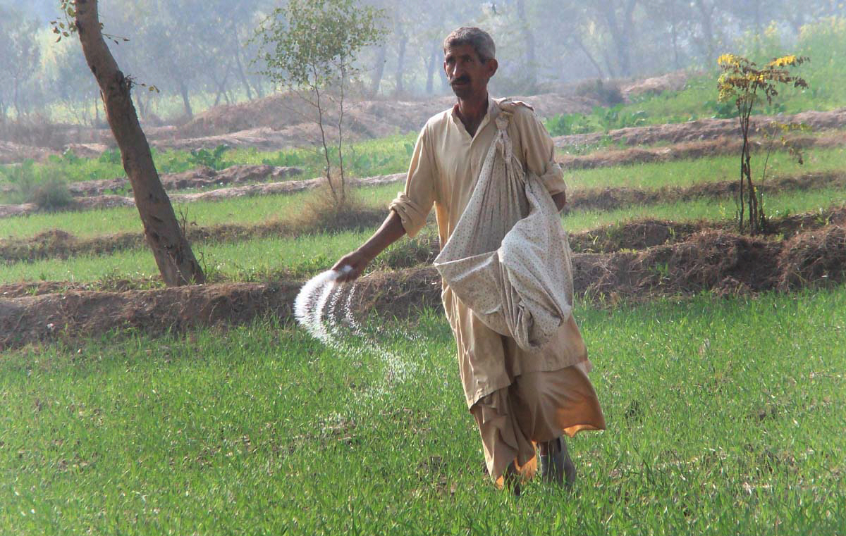 agri task force reviews fertiliser stock