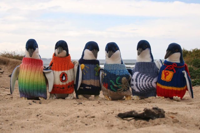 a father to 7 and a grandparent to 20 039 alfie 039 has been knitting and been actively involved in sports photo penguin foundation