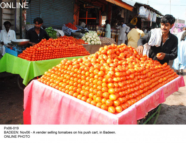 a research institute would be established for building the capacity of farmers and a specific processing zone would also be set up for kinnow export photo online