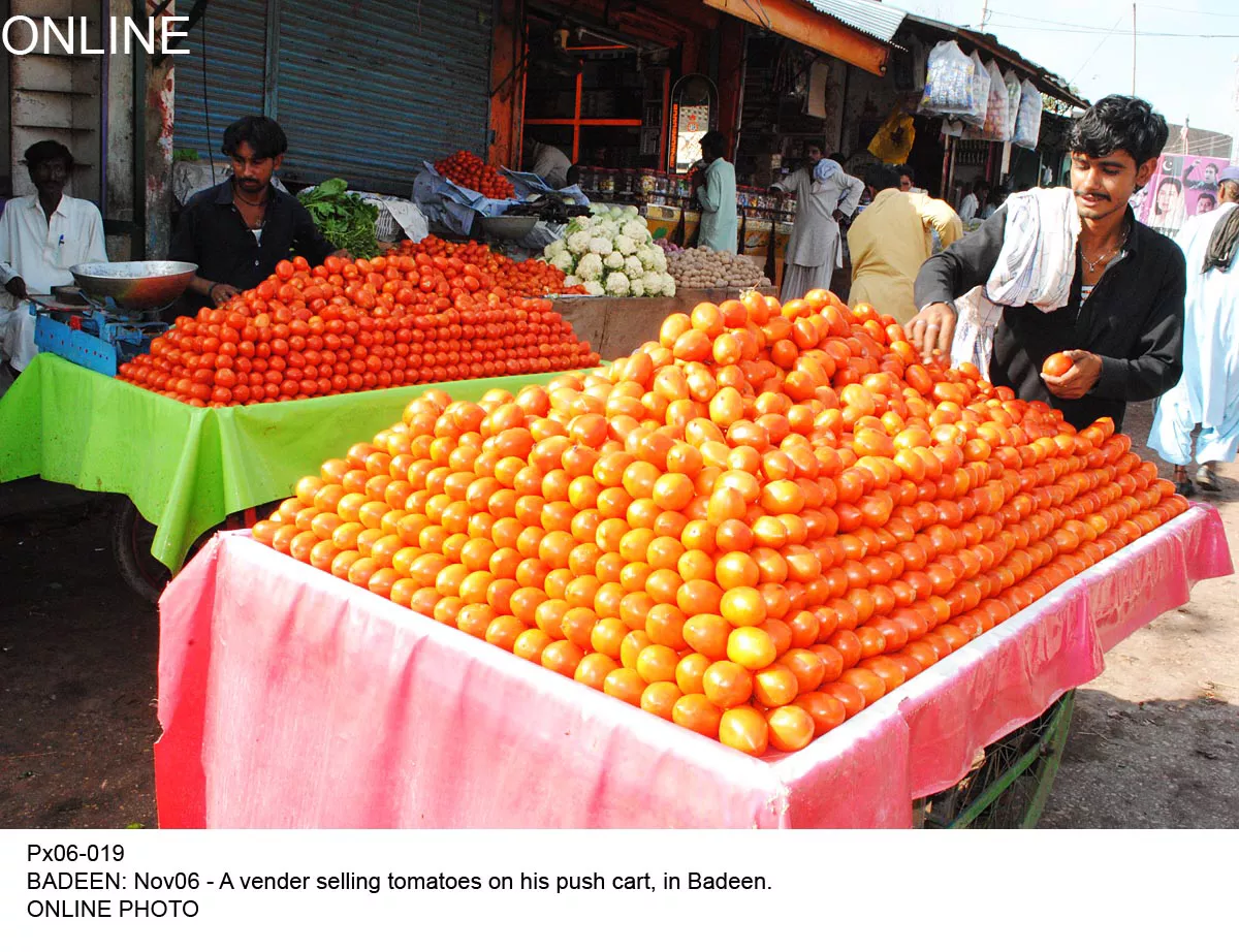 a research institute would be established for building the capacity of farmers and a specific processing zone would also be set up for kinnow export photo online a research institute would be established for building the capacity of farmers and a specific processing zone would also be set up for kinnow export photo online