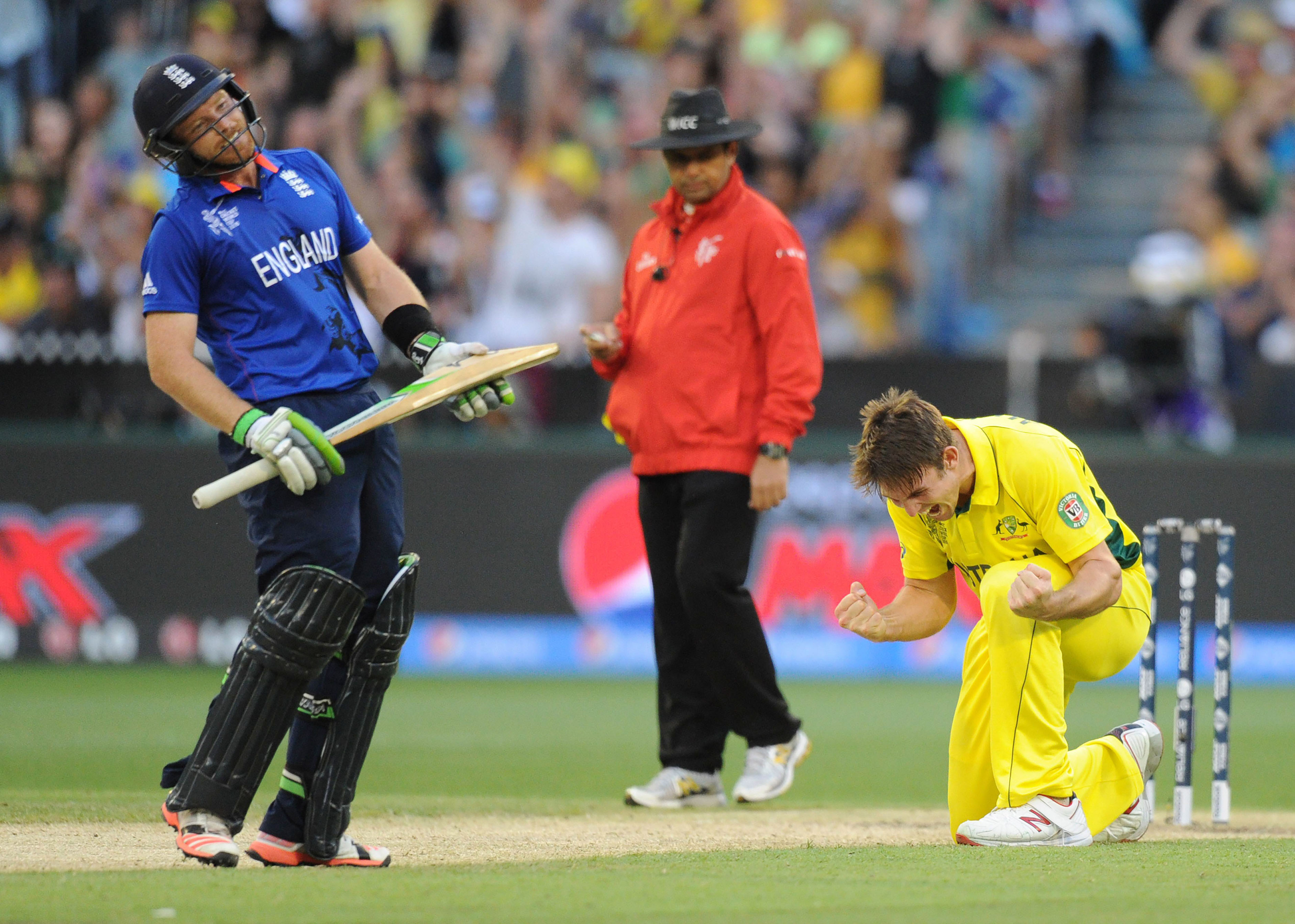 australia 039 s mitchell marsh r celebrates the wicket of england 039 s ian bell l during the pool a 2015 cricket world cup match between australia and england at the melbourne cricket ground mcg on february 14 2015 photo afp