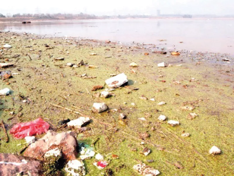 due to continuous flow of contaminants the water of the reservoir has turned yellowish photo file due to continuous flow of contaminants the water of the reservoir has turned yellowish photo file