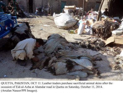 leather industry pakistan lags behind regional players