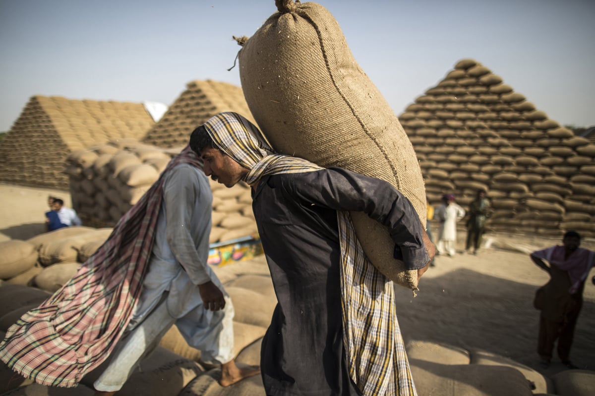 according to statistics the ministry had fixed the wheat procurement target of 8 million tons for the year 2013 14 out of which 6 131 million tons had been procured photo reuters