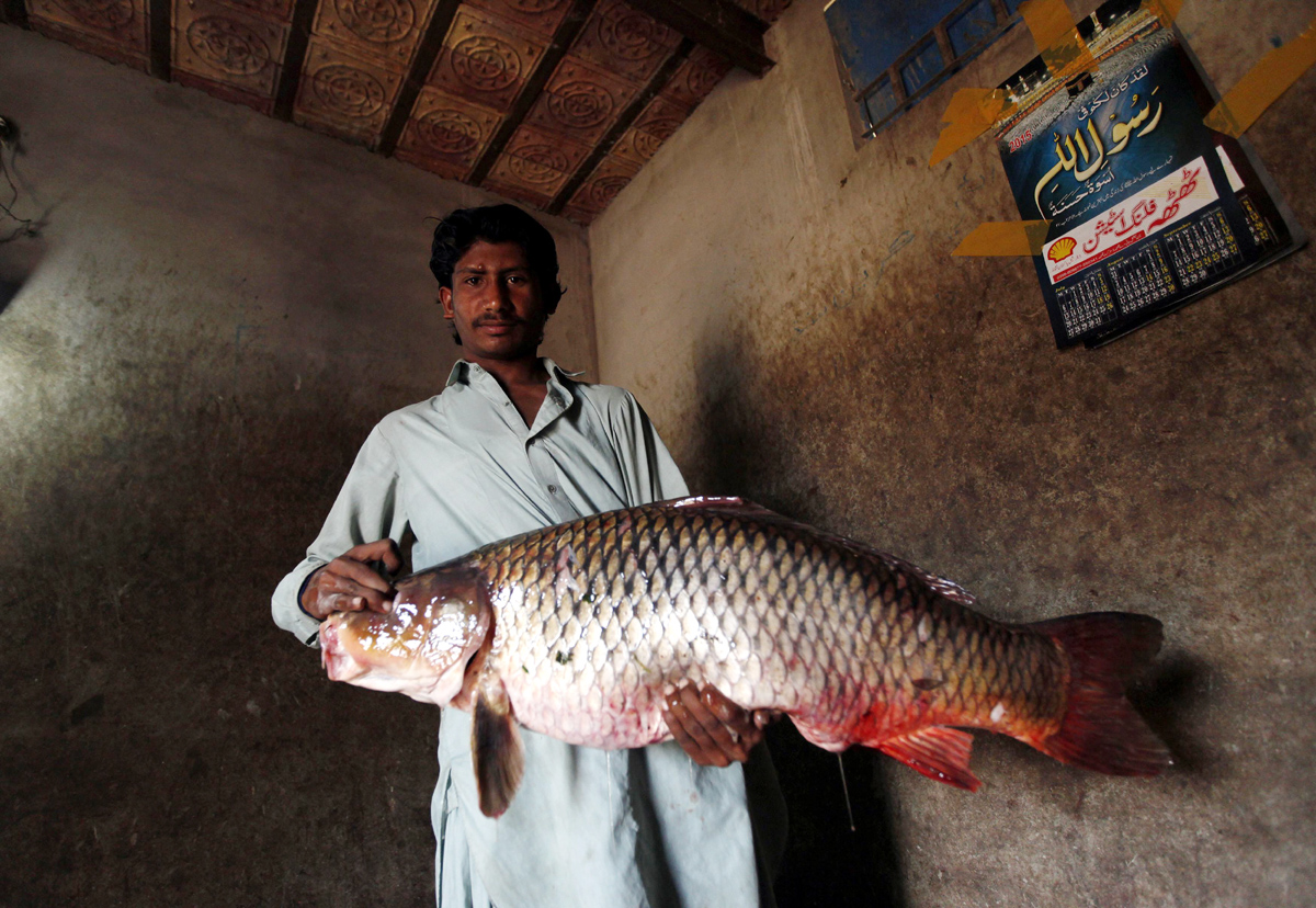 Updated Feb 23, 2015