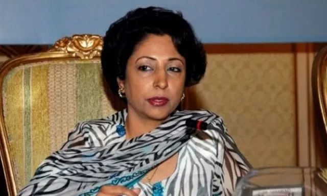 the establishment of internal peace and stability is the overriding priority says lodhi photo app the establishment of internal peace and stability is the overriding priority says lodhi photo app