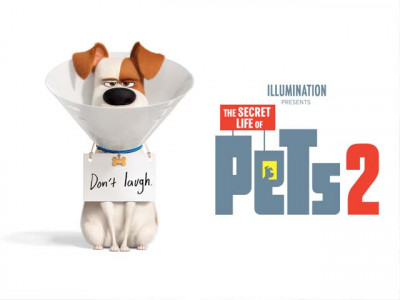 the secret life of pets 2 a disjointed sequel struggling to find a reason to exist the secret life of pets 2 a disjointed sequel struggling to find a reason to exist