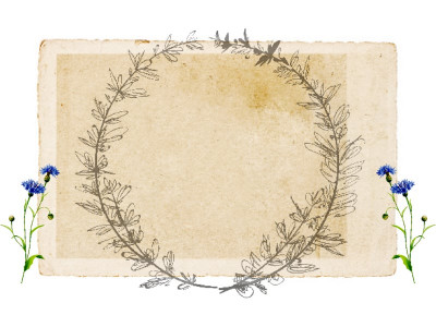 season s greetings how sindh lost its spring season s greetings how sindh lost its spring