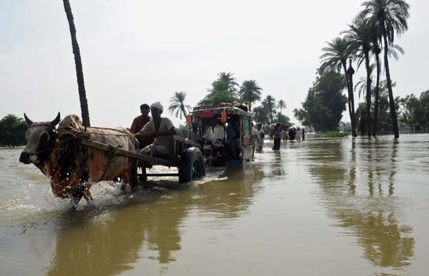 estimated 715 000 people in pakistan are every year affected by the floods photo afp