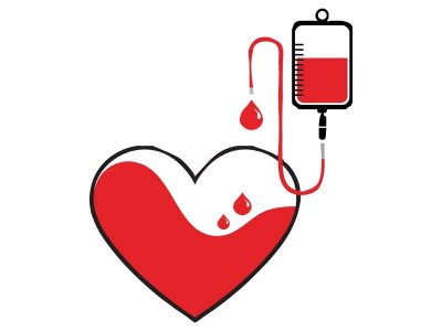 a guide to thalassemia a guide to thalassemia