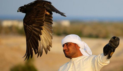 k p govt fines qatari prince for hunting falcons