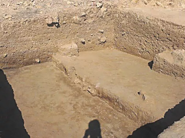 in 2014 archaeologists found three human skeletons and artefacts during an excavation photo courtesy curator in 2014 archaeologists found three human skeletons and artefacts during an excavation photo courtesy curator