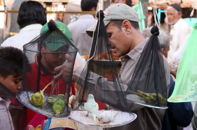 authorities decide to give sellers a few warnings this month and then launch a crackdown photo athar khan express authorities decide to give sellers a few warnings this month and then launch a crackdown photo athar khan express