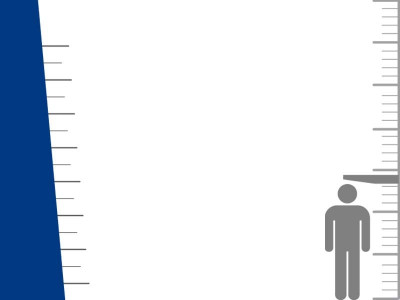 the height of success the height of success