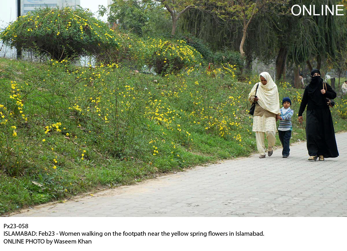 women walk past flowers in islamabad on monday 1 000 particles was the pollen count in the capital at this time last year photo online