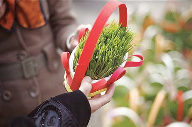 a woman buys a potted plant during new year shopping on a street near a bazaar in northern tehran photo reuters