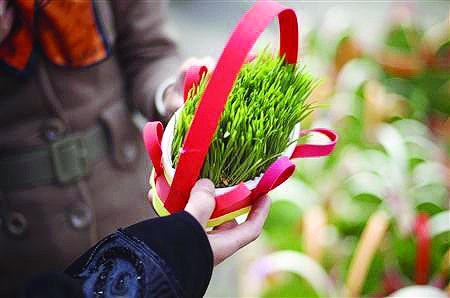 a woman buys a potted plant during new year shopping on a street near a bazaar in northern tehran photo reuters