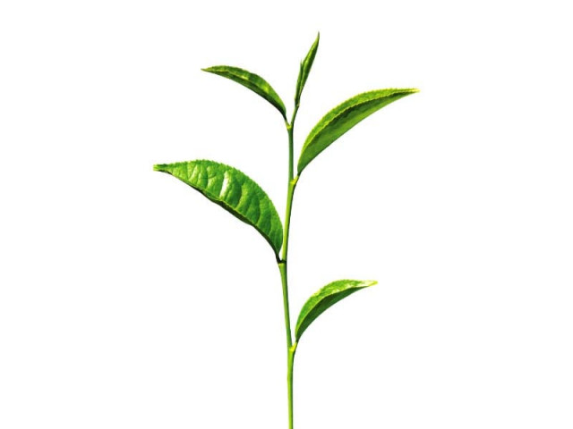 loan is aimed at enhancing agriculture productivity which is hurt by high water losses creative commons loan is aimed at enhancing agriculture productivity which is hurt by high water losses creative commons