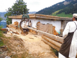 poor planning not deforestation to blame for devastation