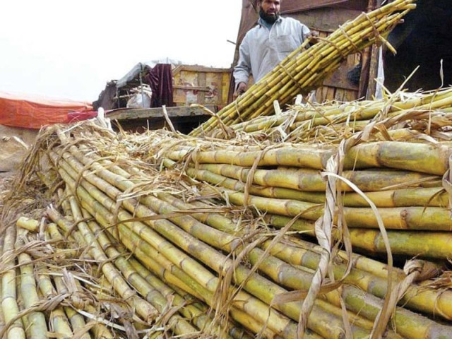 cabinet fixes wheat sugarcane prices cabinet fixes wheat sugarcane prices
