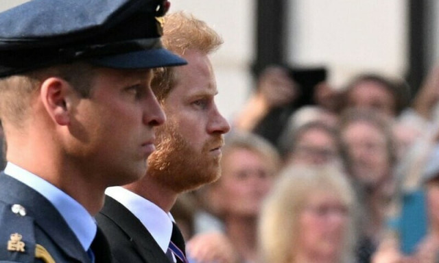 prince harry along prince william photo reuters prince harry along prince william photo reuters