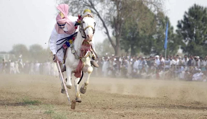 a rider tries to pierce his target with lance during jashn e baharan tent pegging festival in fatima jinnah f 9 park islamabad on friday photo muhammad javaid express a rider tries to pierce his target with lance during jashn e baharan tent pegging festival in fatima jinnah f 9 park islamabad on friday photo muhammad javaid express