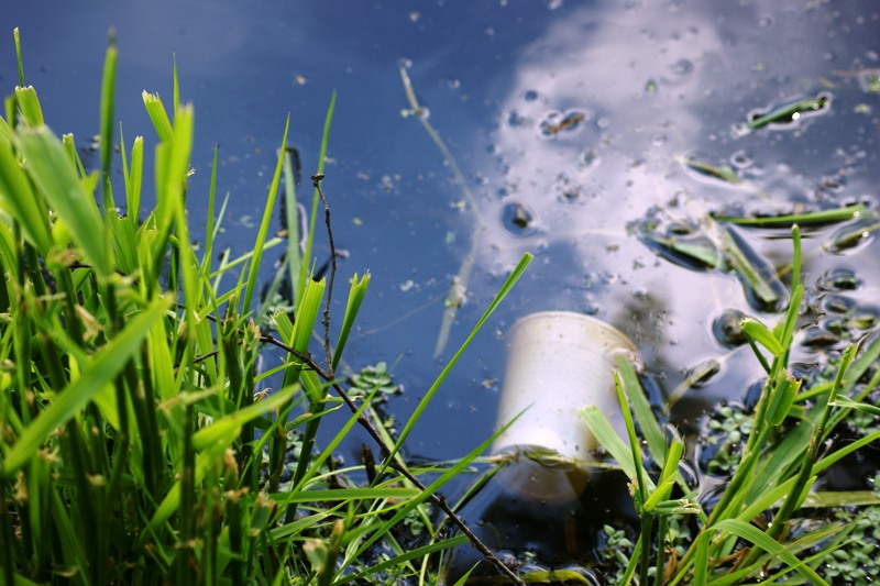 forum members claimed only a small fraction of the population was aware about environmental issues even though the literacy rate was higher in the region compared to other areas in the province stock image