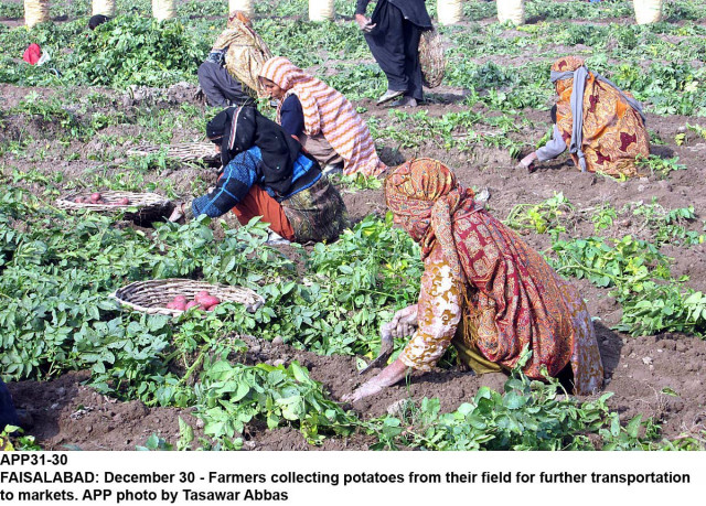 millions of peasants and fishermen were included in the umbrella of workers when the sira was enacted in march 2013 photo app millions of peasants and fishermen were included in the umbrella of workers when the sira was enacted in march 2013 photo app