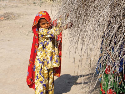 awareness campaign thar to host health nutrition festival for residents awareness campaign thar to host health nutrition festival for residents