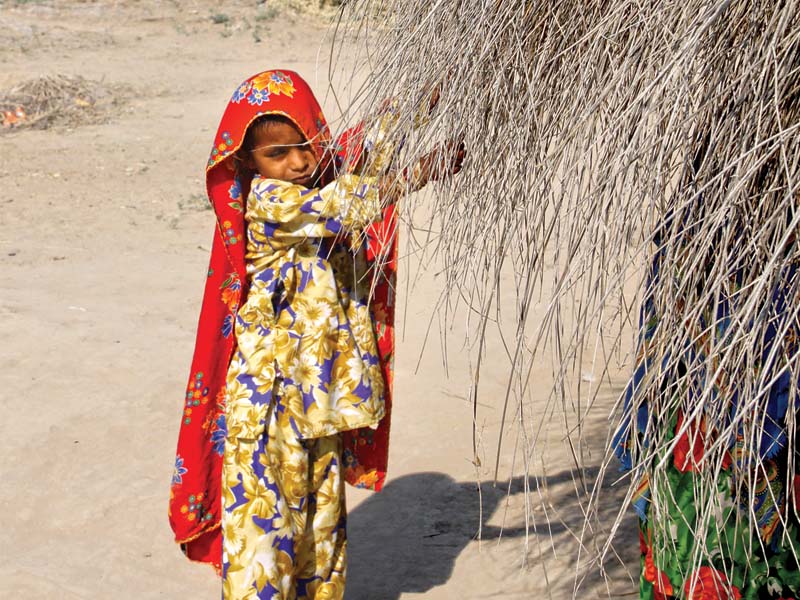 the sindh government plans to hold a three day health and nutrition festival in tharparkar to create awareness about vaccinations family planning and malnutrition photo file