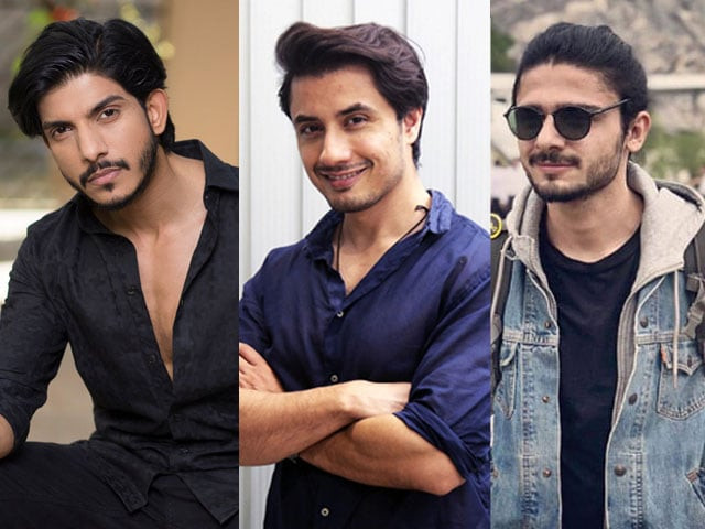the accusations against big names in pakistan might only tarnish the public image of the accused for a while but would never completely destroy it