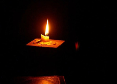 circle of life circle of life