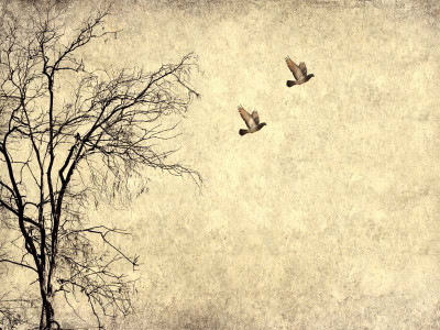 the gravity of grief and how we deal with it