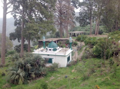 a window to the past mohmand s man who rubbed shoulders with the mughals