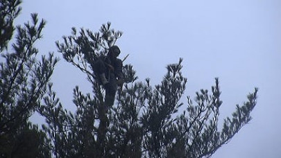 colorado man arrested after 3 hours perched on cliff top tree colorado man arrested after 3 hours perched on cliff top tree