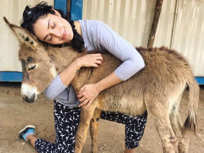 cyber bullying misogyny under the garb of animal welfare