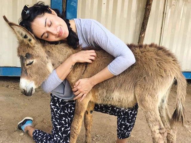 ayesha believes there needs to be a stronger support system for people who decide to come forward with their stories of cyber bullying photo facebook acf