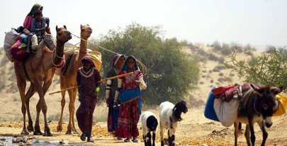 combating malnutrition festival aims to spread awareness about health in thar combating malnutrition festival aims to spread awareness about health in thar