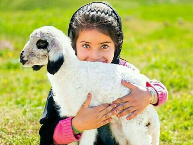 her laughter blossomed in the air like flowers in a field farid had never seen her happier photo pinterest