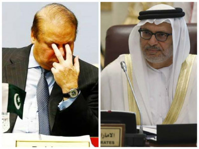 yemen conflict pakistan s decision is dangerous and unexpected says uae foreign minister