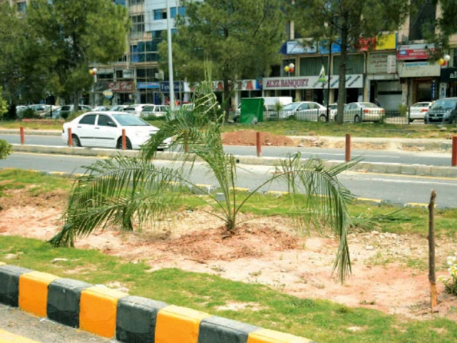 the lack of colour and monotony of green was among the capital development authority s concerns regarding plantation along the route photo huma choudhary express the lack of colour and monotony of green was among the capital development authority s concerns regarding plantation along the route photo huma choudhary express