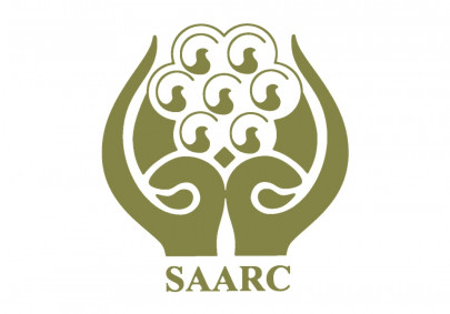 economic bloc saarc working on single currency