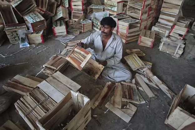 pfva representatives said that most countries demand corrugated cartons to maintain hygienic conditions in their markets photo reuters pfva representatives said that most countries demand corrugated cartons to maintain hygienic conditions in their markets photo reuters