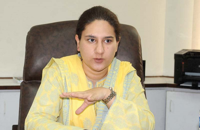 chairperson for the prime minister s youth programme leila khan photo express chairperson for the prime minister s youth programme leila khan photo express