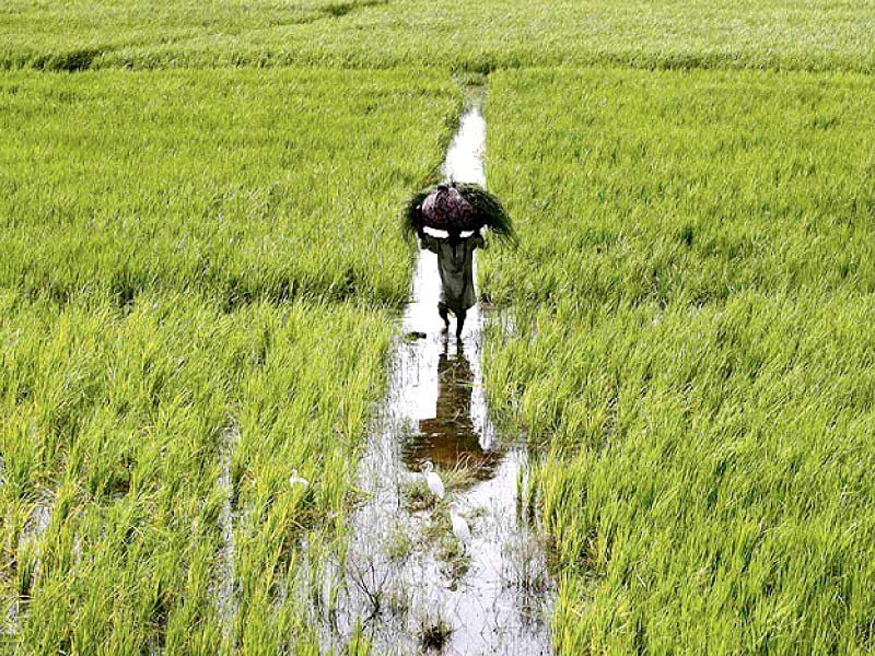 the water resource development project will address low farm productivity high poverty incidence and pervasive food insecurity in fata by increasing agriculture production and household incomes through reliable supply of irrigation water photo file