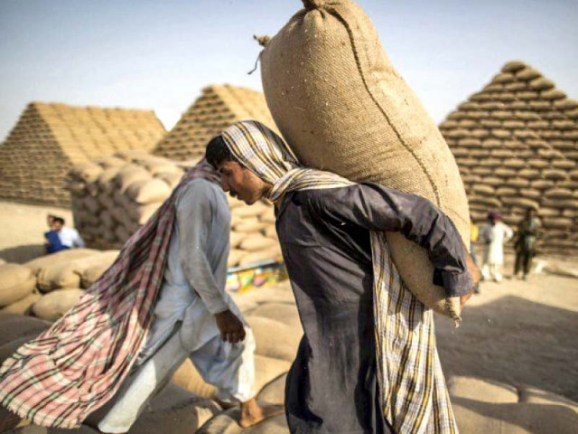 due to the two consecutive bumper crops the country has surplus wheat stock of around two million tons photo file due to the two consecutive bumper crops the country has surplus wheat stock of around two million tons photo file