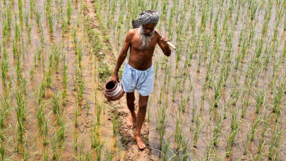 india s powerful farming lobby turns on modi
